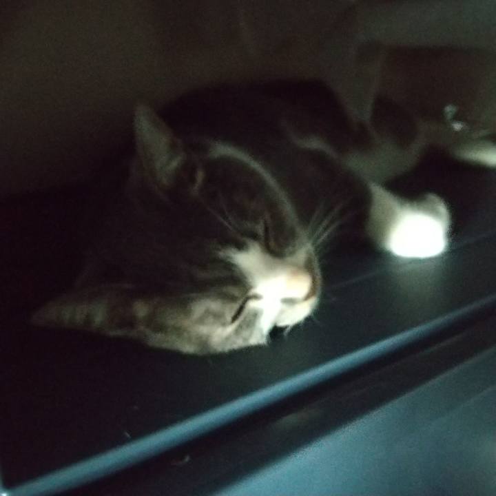 C6b44a72 a131 423e b580 191d70fca3ab 1627002327357