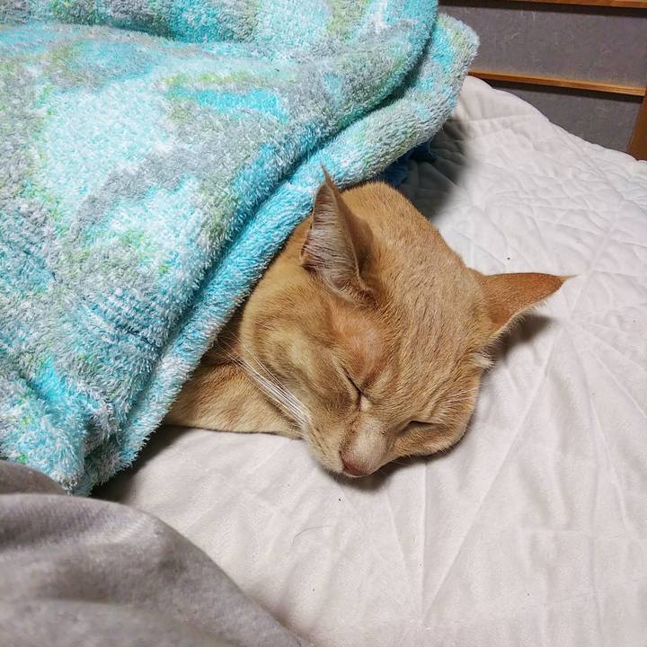 C6b4a682 3c89 4ce0 a35f 43729f3f172a 1574585953721