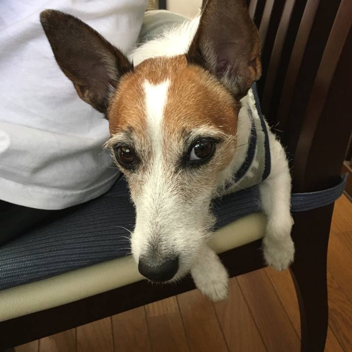 C6b4c0fe bbd4 4cf8 a507 41fcca2307a9 1606953819524