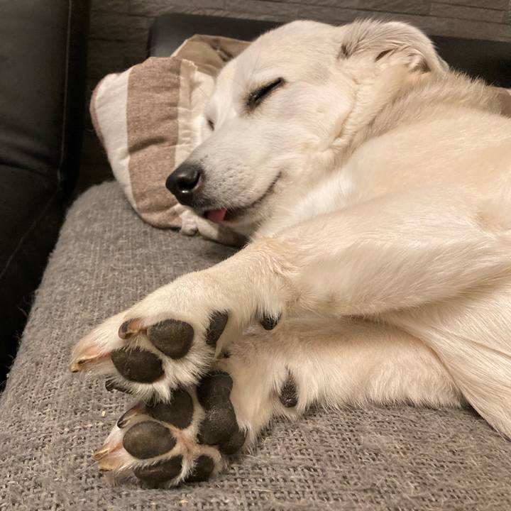 C6b4c1e0 f3c1 4540 9f74 ad700264d0bb 1621029026507