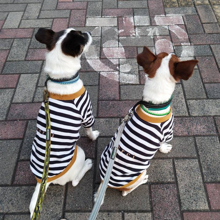 C6b4c81c 895b 44d9 aede 3e129ba7678e 1722162570889