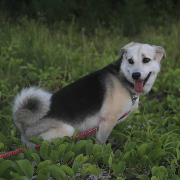 C6b4d500 952f 4129 b64b ef75ab4e7b9e 1515301204349