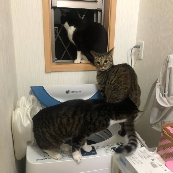 C6b4e75c 06a0 4ab4 aa1f 59de81b06670 1589167656168