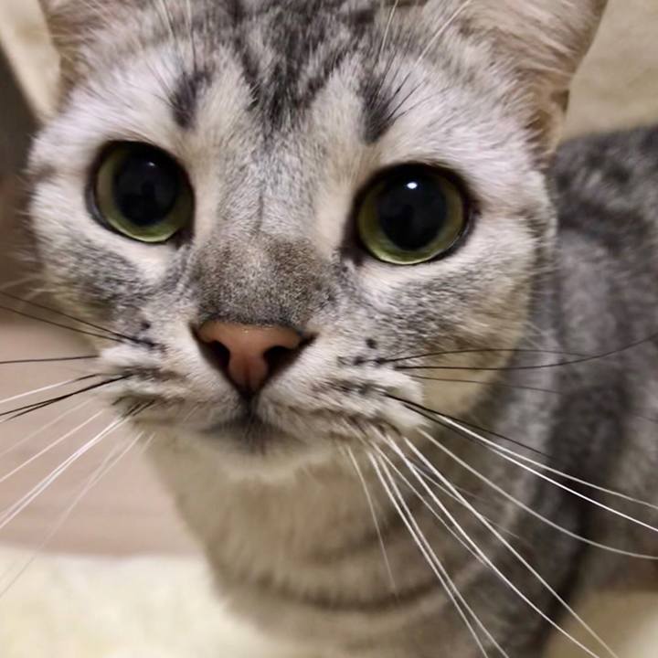 C6b4f974 b529 4f8b 8348 345255b720ff 1548853638229