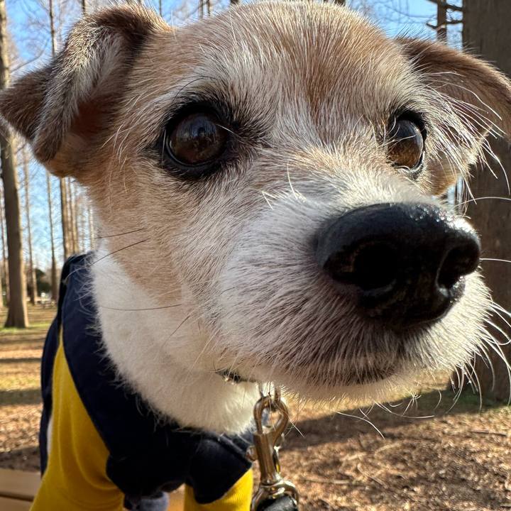 C6b55aad 937b 4886 b20f f3aac657a263 1676099406400