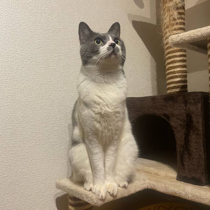 C6b56417 4369 475a a9d0 70c2d120a2fe 1708533596502