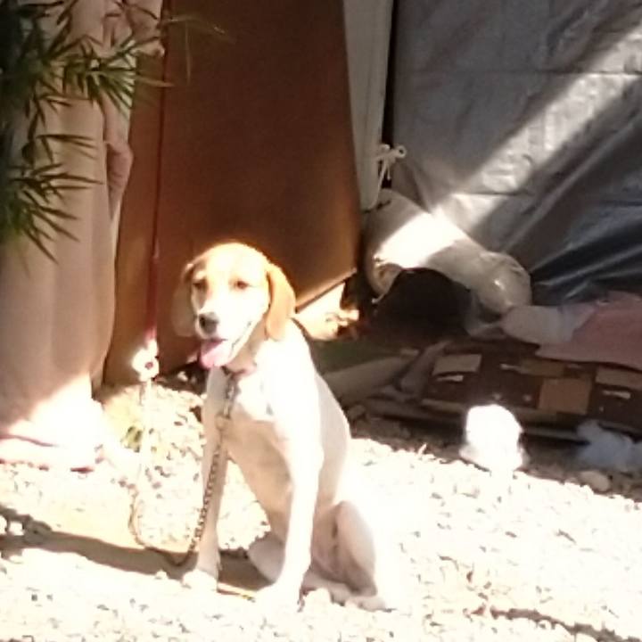 C6b583ec 26fa 440c 9efb 4c228aaf474e 1597645896041