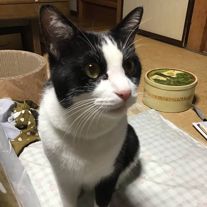 C6b586e5 da0d 4fea a957 5cbe53b4b412 1699357099976