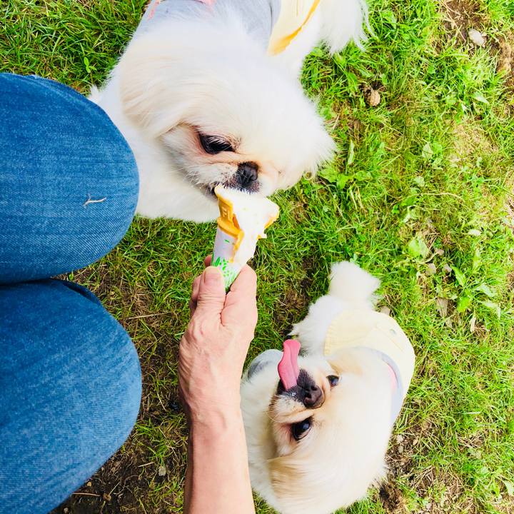 C6b598e9 baa5 4514 8a77 e5284459428e 1569036934119