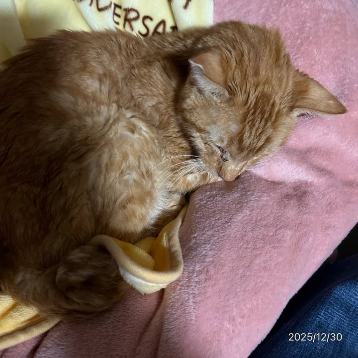 C6b5bab2 23e1 424e aedb 9395e4c87c38 1767147754703