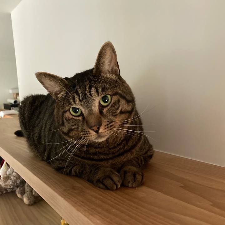 C6b5cecf 539a 4cda bce6 f532f5102ffb 1691410368204