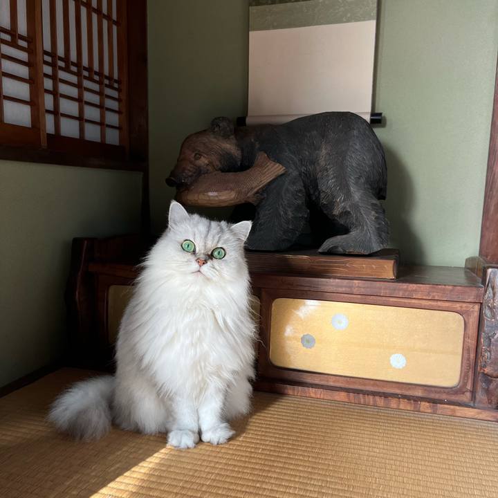 C6b5f020 8875 43ca 9285 3681aea6708f 1729985581911