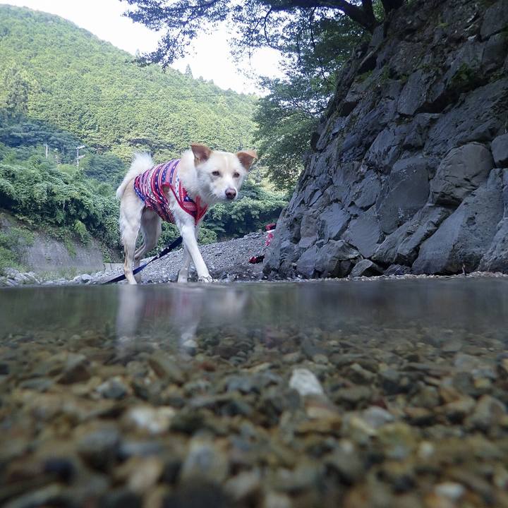 C6b61ca6 c57f 421c a292 a43c7461f576 1532041561006