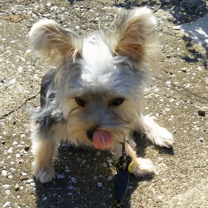 C6b62580 9d82 4b0c 9ea4 ee4a27c1d70f 1538996196748