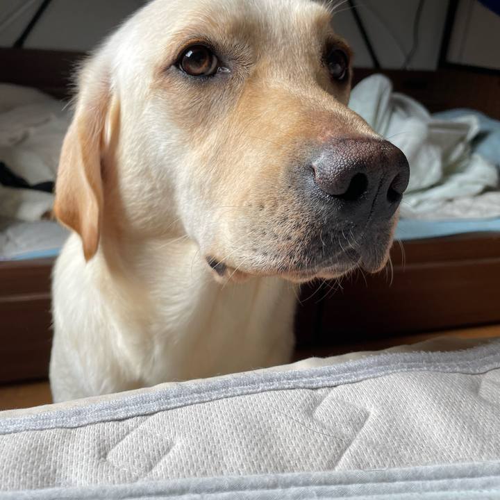 C6b63c41 9279 4114 b7df e7bdfb9ce1a6 1658022834387