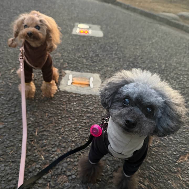 C6b6433a 3344 46ac a0f6 2c6f80cef6de 1769560195656