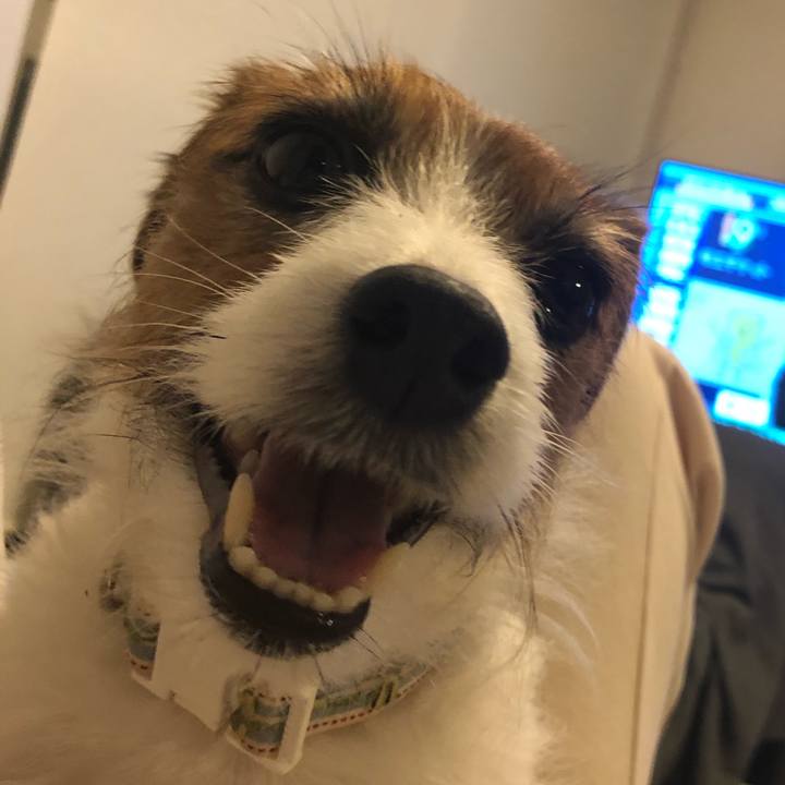 C6b651aa 14c0 45b2 bf4b 95ef5492cf9c 1586436250573