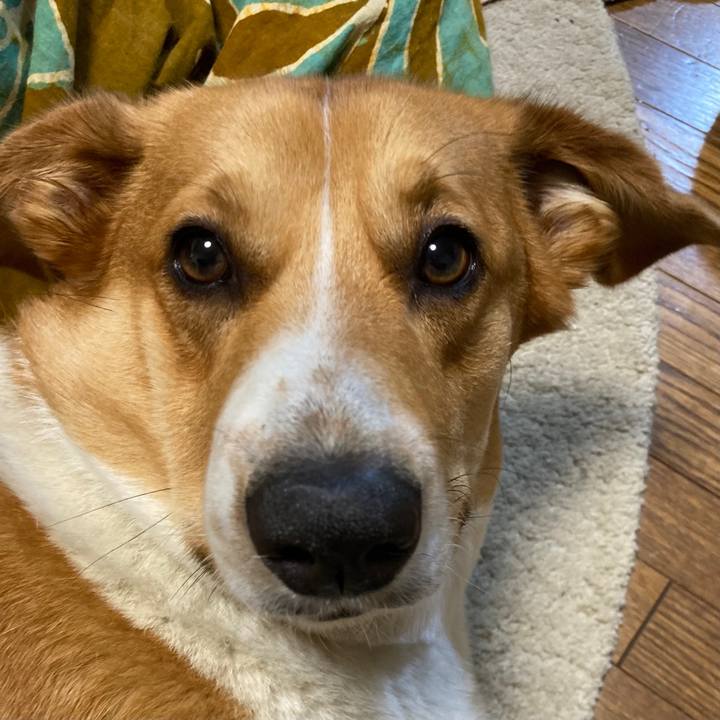 C6b664dd 05b3 4e6e b4ec 877725e98ea6 1651061805180