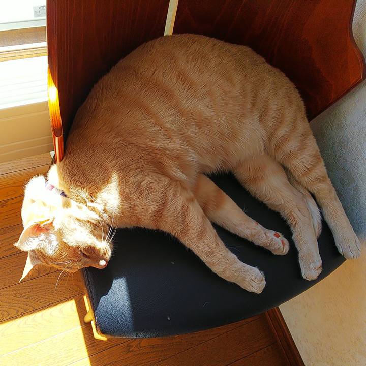 C6b67ba8 be44 49ed b08d ab2595faf44d 1586672921406