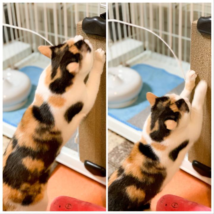 C6b68852 5862 457a 87ac 241faf64726e 1561859494601