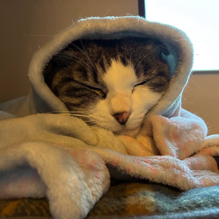 C6b69d81 2450 4820 9657 bd7d30704a5d 1769155432268