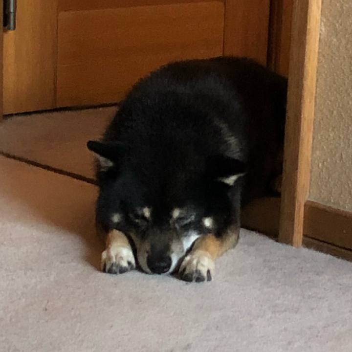 C6b6ab4d faee 4562 9eab 8a7fdf720a9f 1557530717963