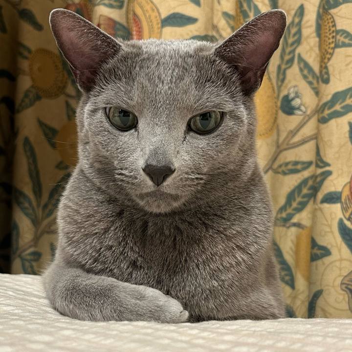 C6b72355 0f27 480e 996b b0776b5e7a48 1738070057213