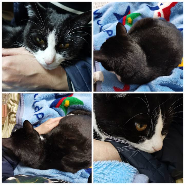 C6b73b01 63b3 44bb b2e0 8df113b3b0f0 1608450271699