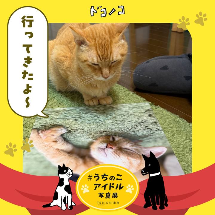 C6b75e3c 26f1 4236 8d53 40f85b358ccb 1762094225926