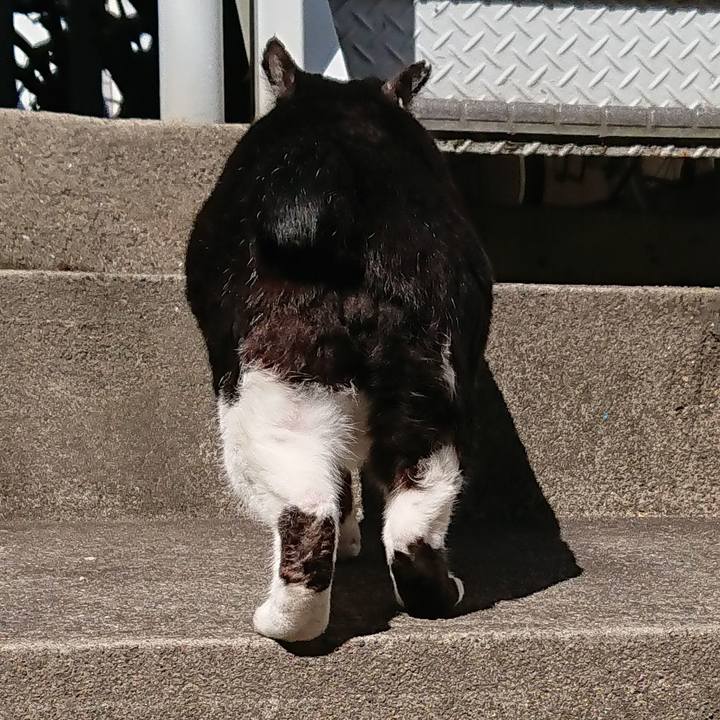 C6b76cb4 f39f 4933 a618 a34c4543d04b 1584665585177