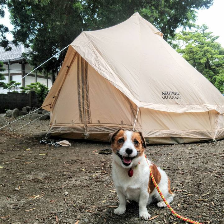 C6b76cb5 8aff 4797 bbc3 ab36056cd691 1530697068101