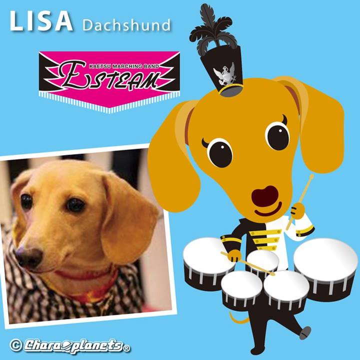 C6b77a6e 2edc 4298 8397 33d5a7f03dae 1560479896545