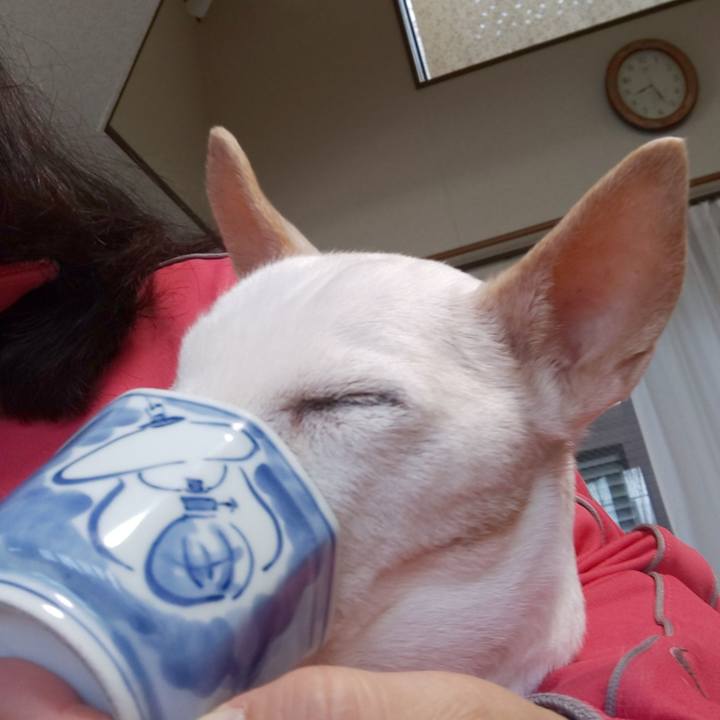 C6b7838b d6c1 4ac0 984c 1990fb54393e 1542670142383