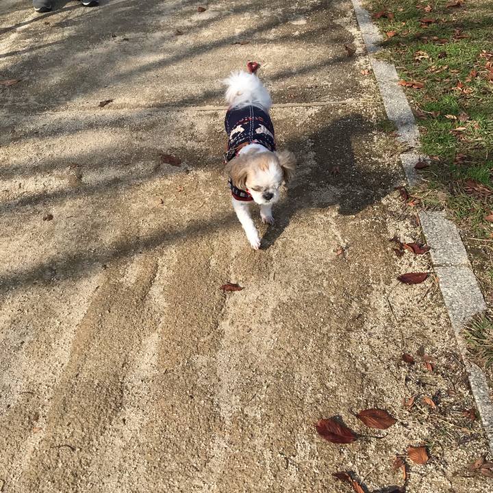 C6b7a2ba a1cf 4175 99a6 9490a5035505 1544564789258