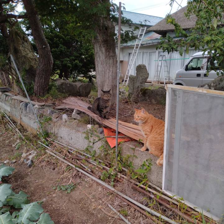 C6b7bdd0 53f4 4491 ae44 ae42212204cb 1694168326590