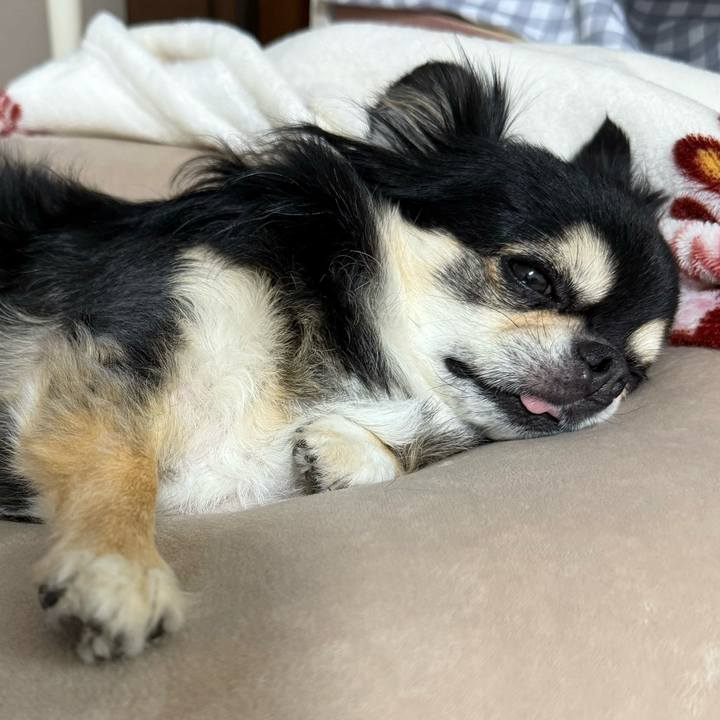 C6b7c4a9 e655 41d2 86e8 d5b2ec230959 1730432577972