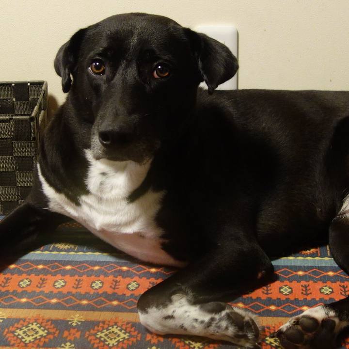 C6b7e275 2254 4c71 821d 3958c34d24ae 1633085334584