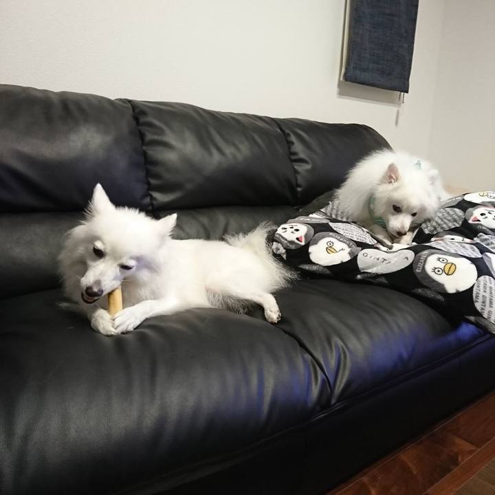 C6b802e8 388c 4a5f a32a 10421fc142dc 1566572489366