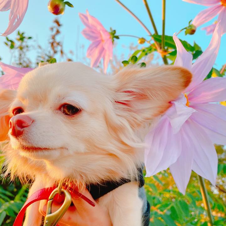 C6b80e5e 5070 4660 9954 0da76965503c 1637926363311