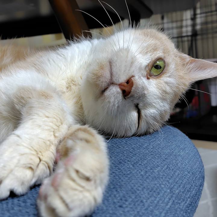 C6b82db8 343f 46c5 9f59 cdb27bb0a1ac 1760004781910