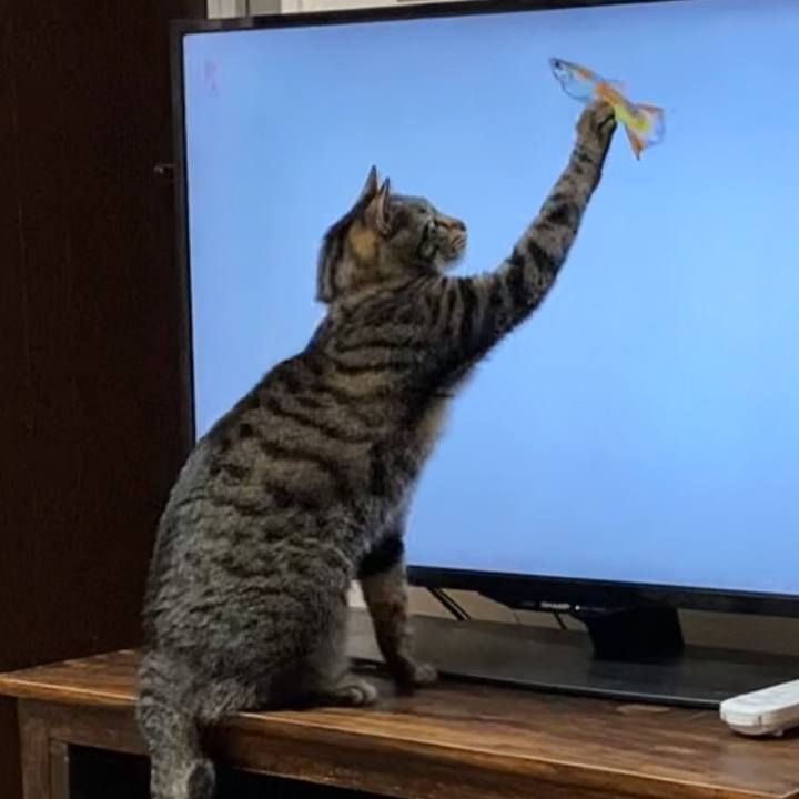 C6b839f8 5389 4502 98aa 191f385fe5c8 1616205396356