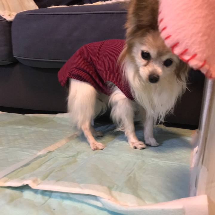 C6b8b365 21e7 4dc7 9aca 48553b659b86 1513941751561