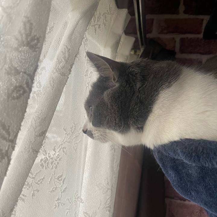 C6b905f8 5f4f 4f95 9e04 35be56e1d821 1680819724904