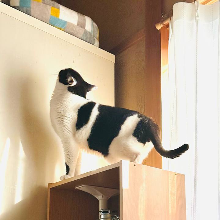 C6b944f1 a3a7 4a29 80ad b0b43837e826 1677461561714