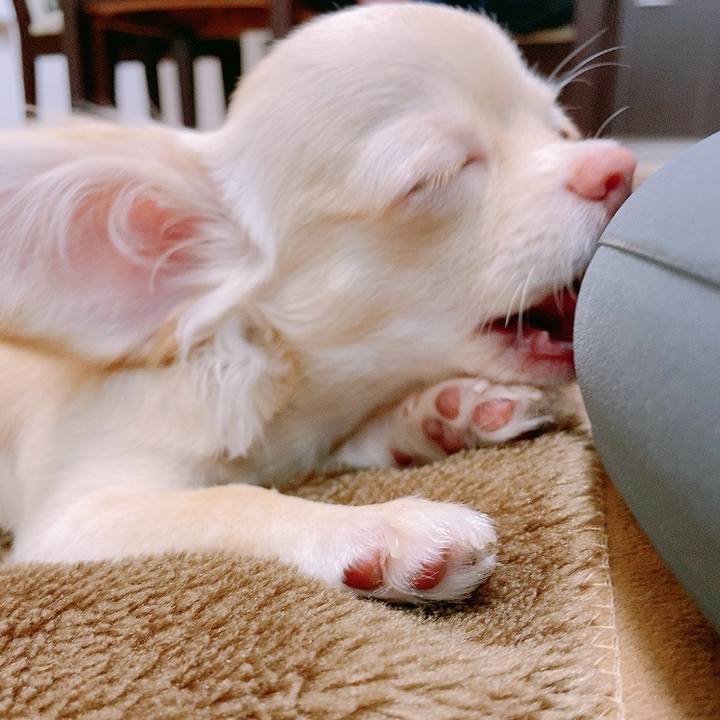 C6b95241 bee8 4d5f 9d4b b91b17e47fcc 1595385044617