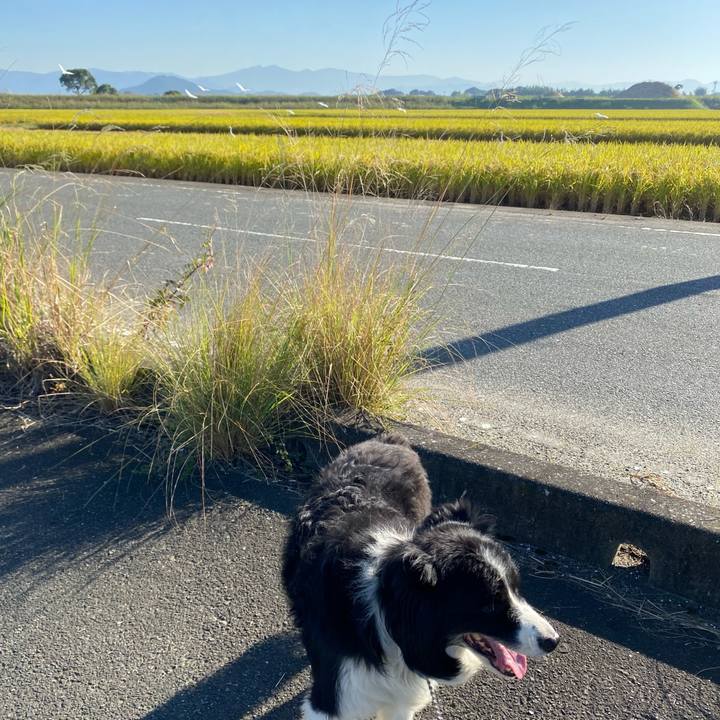 C6b9631b a557 4cd6 902c 956c247aa1a7 1633479868638