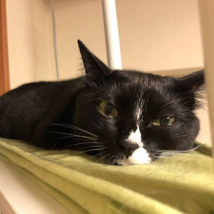 C6b994da f531 4757 9c18 237d24ab6f2a 1509238658132