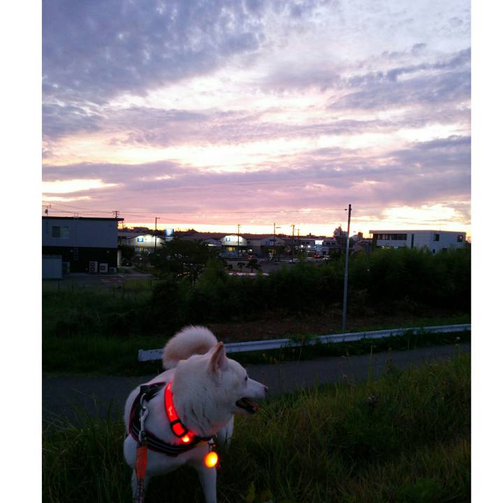 C6b99d18 4e27 455b b3b9 20093907a56a 1565347077402