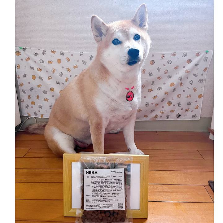 C6b9a15b 1467 4d46 a8ba 25f8d99bf2c7 1720685339326