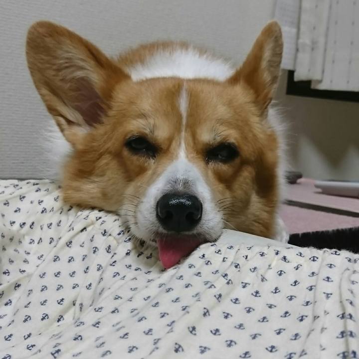 C6b9e99c 32c7 4874 ac30 d72835aa6ce1 1537863705123